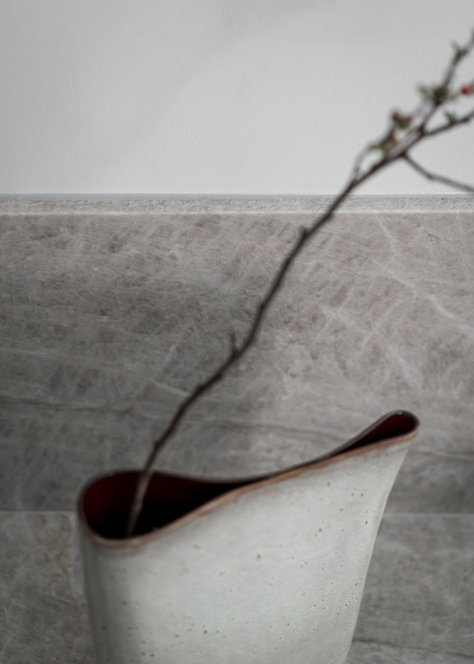 Stiligt - En stiligt minimalistisk vas med en slät, böjd design håller en enda kal gren mot en strukturerad grå väggbakgrund.